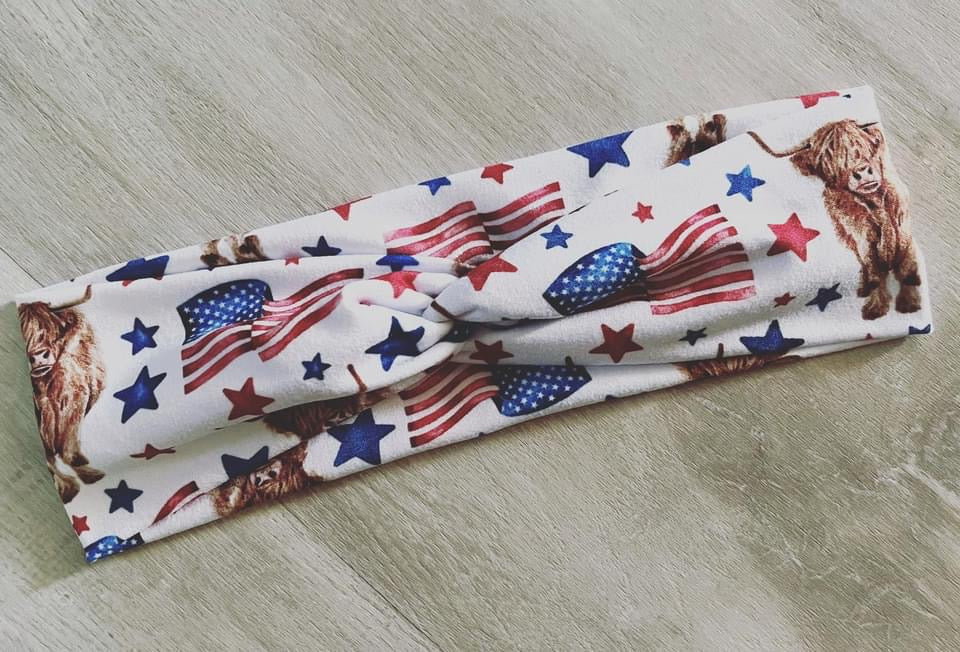 American Flag And Highlands
