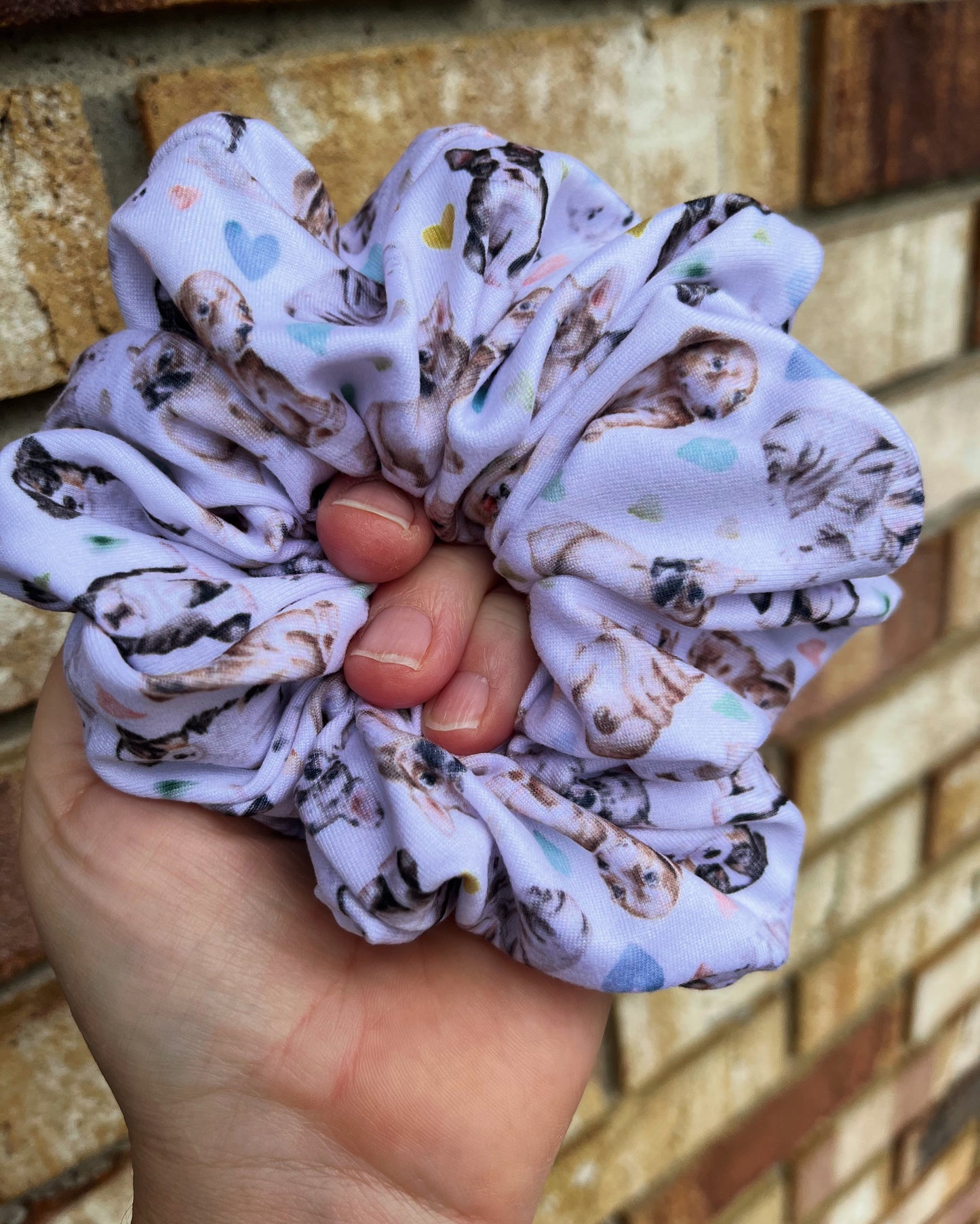 Puppy Scrunchie